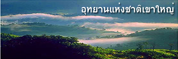ภาพอุทยานแห่งชาติเขาใหญ่